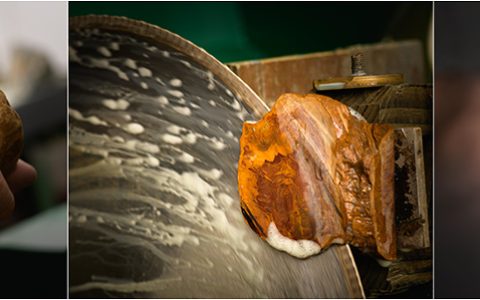 雅克德罗爱蝴蝶栗鼠红，展开金色的翅膀