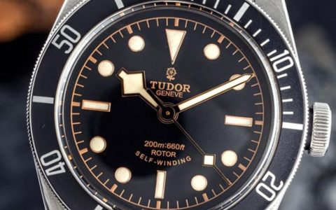 帝舵-绝版Black Bay玫瑰花Logo黑水鬼手表3年行情大幅增长75%