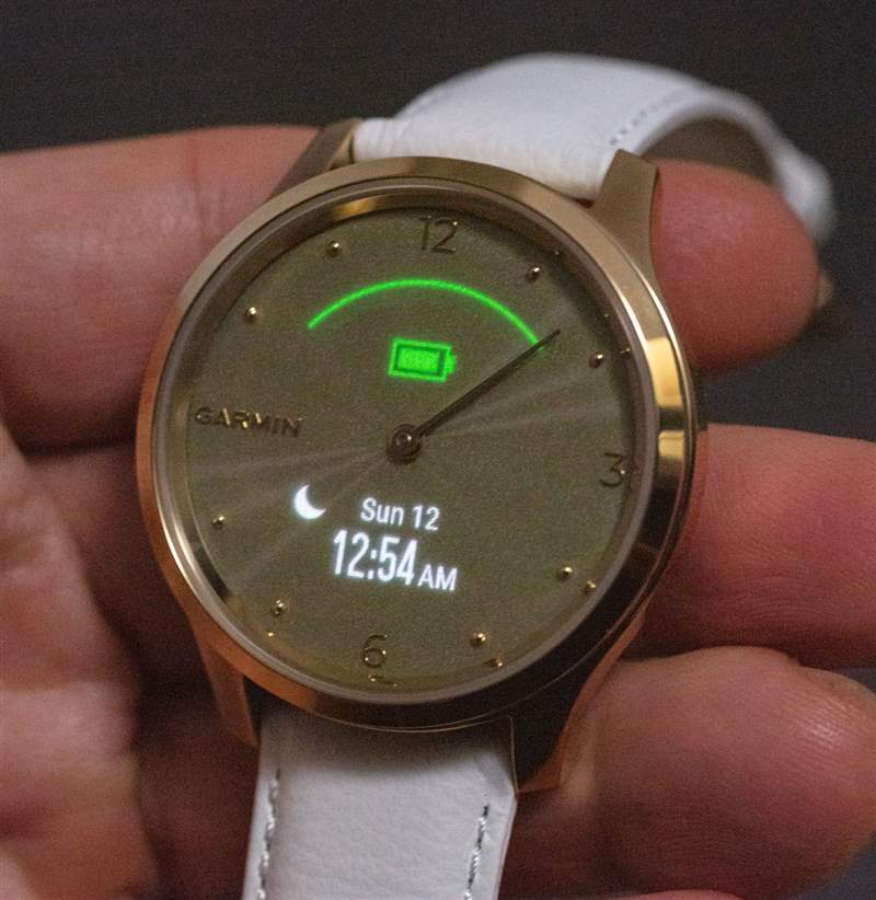 Garmin Vivomove Luxe 模拟/数字表盘 Smartwatch 评论