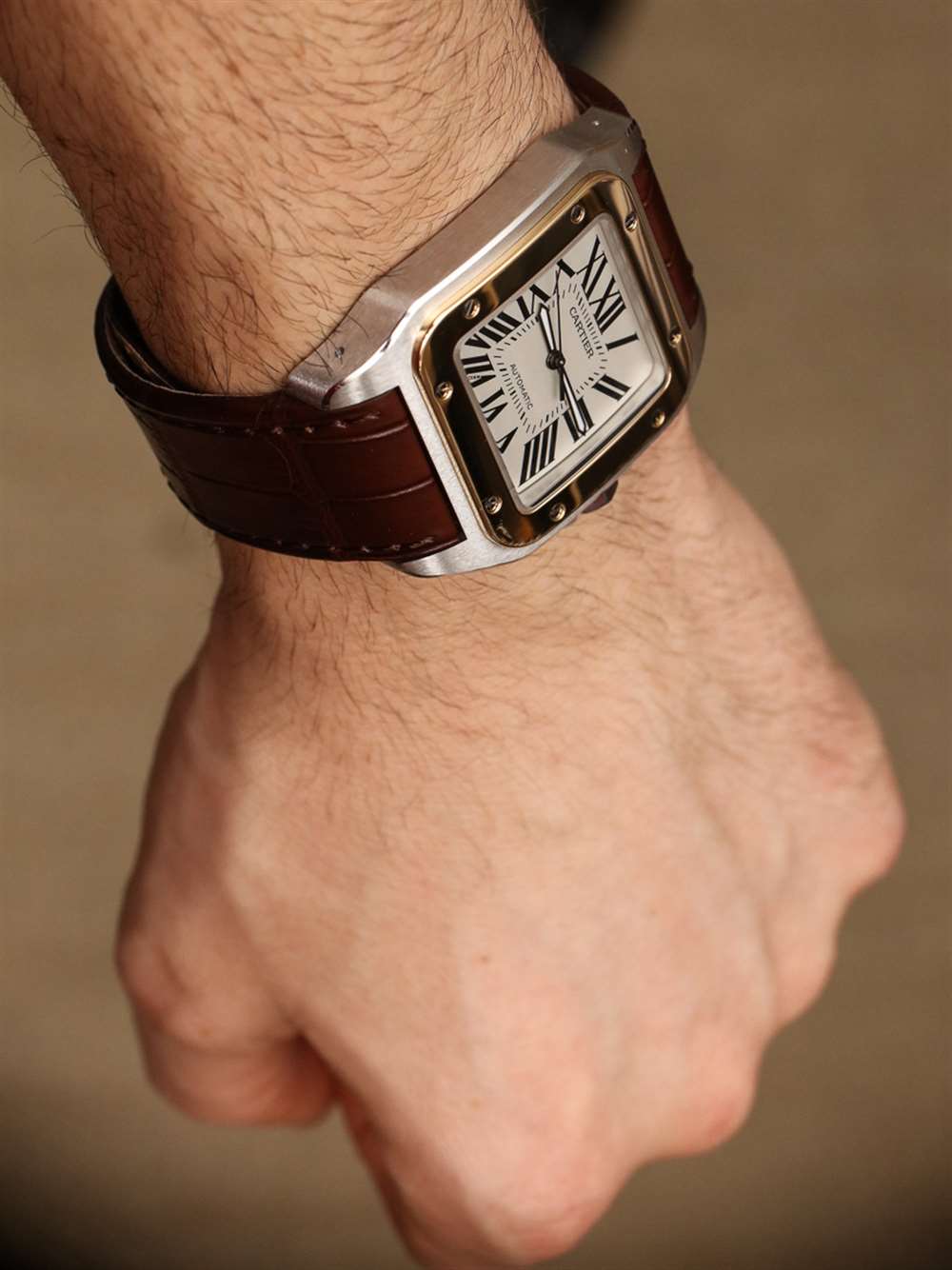 Cartier-Santos-100-watch-18