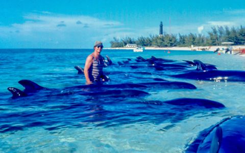 你只活一次的假期：我带着爱彼表去了一个荒岛