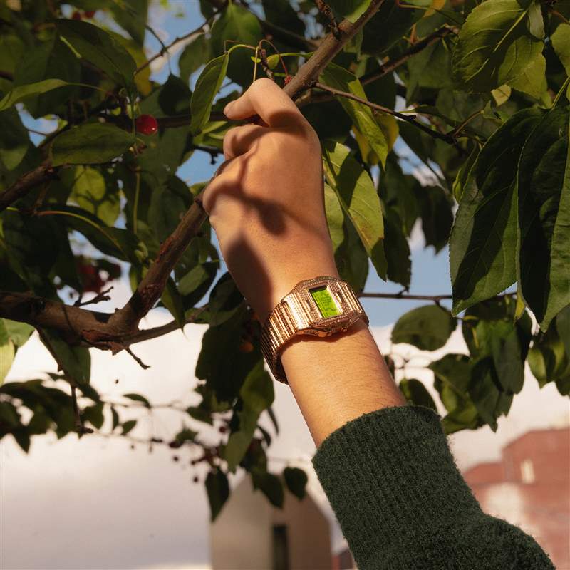 一个戴着 Timex 手表并把手伸到树上的人