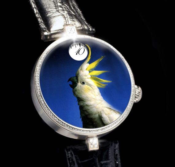 棱角分明的动量凤头鹦鹉-3-TG-手表