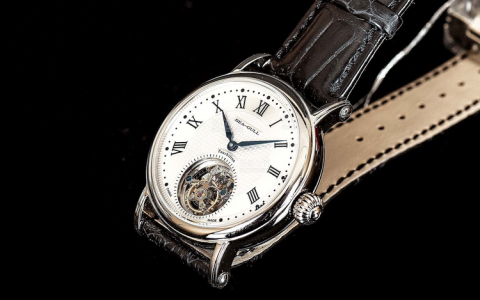 天王表和海鸥表哪个好(天王手表和海鸥手表哪个档次高)